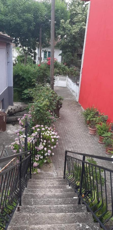 Stan Za Iznajmuvanje So Parking,Blisku Do Centar. 库马诺沃 外观 照片